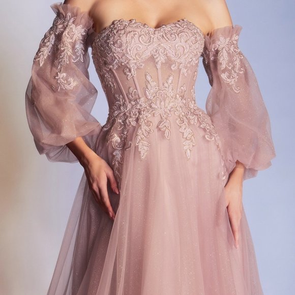 Cinderella Divine CD948: Enchanting Embroidered Gown for Unforgettable Occasions main image 1